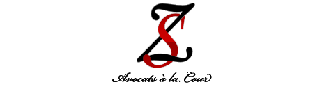 Logo du site